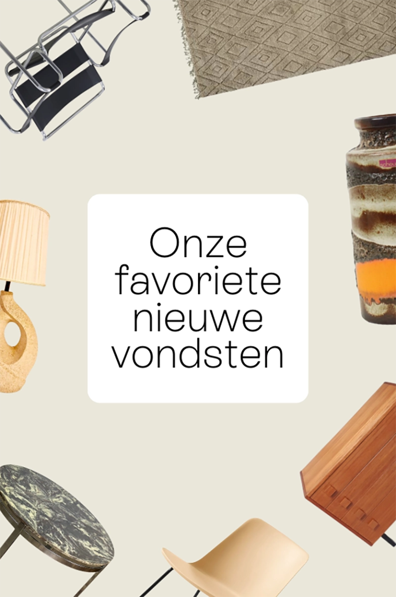 Our new favorites!
